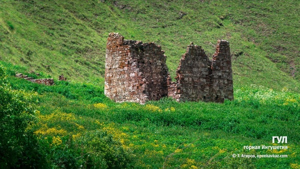В рамках плановых работ, Сампиев А.А. посетил самый восточный небольшой башенный  комплекс Джейрахского района на правом склоне реки Гулой-хи, под горами Харсакорт и Оргункорт, расположенный на пограничной зоне и в прошлом, занимавший важное стратегическое положение.
       
Гул включал в себя боевую и восемь жилых башен с различными пристройками, которые посредством каменной оборонительной стены были объединены в единый мощный замковый комплекс позднего средневековья. В настоящее время большинство сооружений поселка разрушено, сохранились на уровне фундамента.
         
На восточной окраине поселка Гул, на горном склоне, высились шесть наземных коллективных склеповых гробниц позднего средневековья. Из них четыре - башнеобразные, трехэтажные, с квадратным основанием и пирамидально-ступенчатым покрытием, а остальные - в плане прямоугольные, двухэтажные, с двускатно-ступенчатой (сланцевой) крышей.

На северо-восточной окраине поселка Гул, на лесной поляне, разместилось уже полуруинированное позднесредневековое святилище в виде невысокого каменного столпа без сохранившейся крыши. Постройка имеет почти квадратное основание и небольшую квадратную нишу в центре фасадной восточной стены. Кверху стены заметно сужаются. Общая высота сохранившейся части памятника (с фасадной восточной стороны) - 1.15 м. Возведен он аккуратно, на известковом растворе. Кладка стен приближается к порядковой. Стены и ниша покрыты толстым слоем штукатурки светло-желтого цвета.
         
Включен в перечень выявленных объектов культурного наследия республики, подлежит государственной охране. Находится в границах территории Джейрахско-Ассинского музея-заповедника.  
         
В  результате произведенного мониторинга, осуществлён сбор полевого материала, произведены замеры и фотофиксация. Эти данные будут использованы при составлении актов технического состояния объектов, которые, в свою очередь, используются для оценки его пригодности и определения необходимости принятия мер по его сохранению.