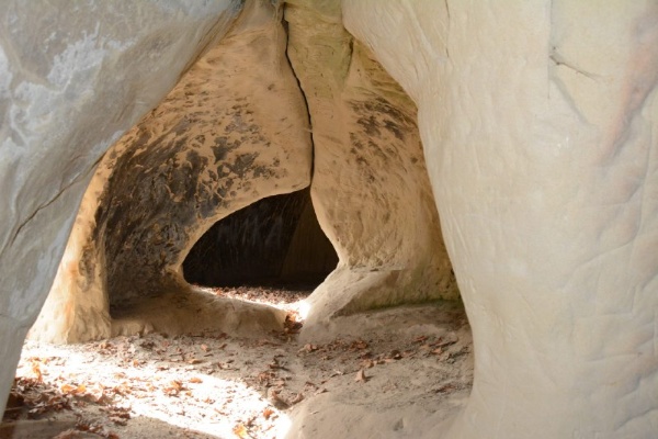 Состоялся рабочий выезд на объекты Ачхой-Мартановского и Урус-Мартановского районов Чеченской Республики.

Исследованы башенные комплексы, отдельно стоящие башни и склепы, которые будут внесены в систему и станут доступны гостям территорий.