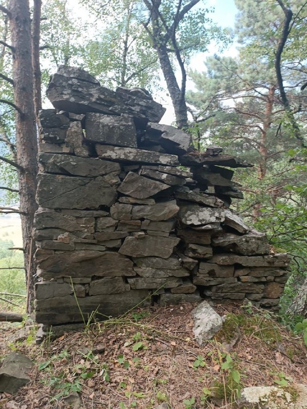 12 августа 2024 года в ходе проводимого обхода, сотрудники Джейрахско-Ассинского музея-заповедника в 1200 метров юго-восточнее башенного комплекса «Нижний Пуй», обнаружили ранее не учтенный объект – столпообразное святилище – цIув.

Столпообразные святилища – один из видов культовых сооружений из камня, которые воздвигались, согласно ингушскому фольклору, в месте, где молнией убило человека.

Заместитель директора компании «Наследие» Я. Гогиев отмечает, что данное столпообразное святилище отличается от группы подобных святилищ своими размерами – оно больше в размерах и стрельчатая ниша довольно глубокая и широкая. В прошлом это святилище венчала двухскатная пирамидально- ступенчатая крыша из сланцевых плит. На данный момент она полностью разрушена. В плане основание святилища прямоугольное.

Столпообразные святилища – наиболее многочисленная группа культовых памятников горной Ингушетии. В своем труде «Средневековые культовые памятники Центрального Кавказа» (Грозный, 1989, С. 89) Б. Мужухоев  пишет, что данная группа памятников относится к самому позднему времени строительства доисламских культовых памятников. Он считает их фамильными, объясняя причину того, что рядом у некоторых селений  стоят несколько столпообразных святилищ (в Эрзи – два, в Эгикале – три).

Памятник после проведения соответствующих работ, для обеспечения его целостности и сохранности, будет внесен в перечень выявленных объектов культурного наследия республики.