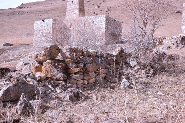 В ходе проводимой работы по сохранению и учету объектов культурного наследия горной Ингушетии, сотрудниками Джейрахско-Ассинского музея-заповедника совместно со специалистами комплексных архитектурных  и реставрационных проектов АСМ ГРУПП, на башенном комплексе «Ний» выявлены, ранее не известные, циклопические постройки - сооружения из огромных нетёсаных каменных глыб безрастворной кладки горизонтального плана, древние каменные жилища.

Циклопические строения – это свидетельства существования древней цивилизации, существовавшей в Ингушетии задолго до письменной истории.  

Нужно отметить, что среди ученных вопрос о датировке циклопических сооружений в течение многих лет остаётся дискуссионным. Проблема датировки мегалитических сооружений сегодня, как и раньше является актуальной.

Л.П. Семёновым и Е.И. Крупновым, после изучения ими  остатков мегалитических построек в ингушских селениях Хамхи, Эгикал, Дошхакле, сделали заключение, что данные циклопические дома – крепости принадлежат к эпохе скифов, т.е. VII-V вв. до н. э. «когда были крепкие родовые устои и все постройки возводились усилиями многочисленных членов рода».

На комплексе «Ний» зафиксированы 2 циклопические постройки, определены их координаты.

Ранее, работа по выявлению и учету циклопических строений была проведена на башенных комплексах: Верхний и  Средний Озик, Дошхакле, Кели, Кхарт, Таргим, Эгикал, Тори, Бархане. 

В последующем они будут поставлены на государственный учет и нанесены на карту.