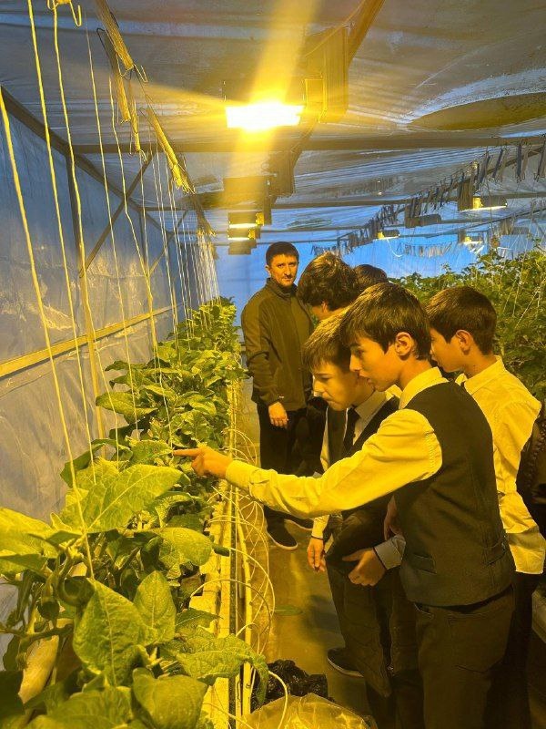 Школьники Сунжи посетили современный агрокомплекс.

Ученики побывали на одном из крупнейших предприятий АПК региона – агрокомплексе «Сунжа».

В ходе экскурсии специалисты предприятия показали:
Современные теплицы с системой светокультуры;
Лабораторию биологической защиты растений;
Технологии выращивания овощей круглый год.

Школьники узнали о применении экологичных методов, в том числе - использовании хищного клопа макролофуса для борьбы с вредителями.

Такие профориентационные мероприятия помогают молодежи познакомиться с современным агропромом и перспективными профессиями в сельском хозяйстве.
