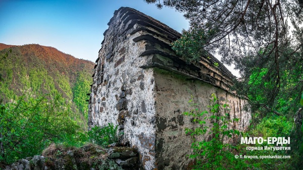 Изучение, возрождение, сохранение и охрана историко-культурного наследия народов является приоритетной задачей государства.

В Горной Ингушетии находится огромное количество памятников архитектуры, в том числе культовых сооружений древнего и средневекового периодов, которые можно назвать историко-этнографическим музеем под открытым небом.

В настоящее время наблюдается тенденция к сохранению и восстановлению памятников материальной культуры народов, что проявляется в охране и в проведении работ по реставрации объектов культурного наследия.

В советское время более шестидесяти различных типов культовых сооружений были обнаружены в горной Ингушетии, и многие из них сейчас нуждаются в реставрации для сохранения своего исторического значения.

Особое внимание ученых привлекает храм Тхаба-Ерды, посвященный божеству Тха, расположенный в центре Галгайского общества между поселками Пуй и Хайрах. Здесь ежегодно собиралось Мехк-кхел (общественное собрание), где принимались важные решения, затрагивающие интересы ингушского народа.

Тхаба-Ерды – самый старый храм Ингушетии.  Временем его основания принято считать VIII век. Включенный в список объектов культурного наследия федерального значения храм, неоднократно реставрировался и в настоящее время является объектом археологических исследований, проводимых компанией «АСМ Групп» в партнерстве с ОАО «Наследие Кубани» и специалистами Ингушского археологического центра имени Е.И. Крупнова. Изучая территорию древнего храма Тхаба-Ерды, исследователи обнаружили подземные склепы и неизвестные поселения.
Одним из важных элементов ингушской культуры был почитаемый культ предков, сопровождаемый проведением поминальных обрядов и жертвоприношений в их честь. Это было основной причиной возникновения архитектурно украшенных сакральных сооружений, таких как храмы, святилища и склепы (малхара каш) – солнечные могильники, специальные помещения для поклонения и захоронения умерших, как надземные, так и подземные. Предки ингушей говорили «Человеку при жизни нужна башня, а после смерти склеп».

Около двадцати частично разрушенных ингушских святилищ находятся в бассейне реки Ассы. Они имеют прямоугольную форму с двускатной крышей, похожей на обычный дом. Архитектурный анализ показывает, что форма этих святилищ была вдохновлена жилыми домами, которые давно исчезли в этом районе.

В своих исследованиях М.Б. Мужухоев обратил внимание на эволюцию культовых сооружений.

Очевидно, что с течением времени ингуши перешли от простых форм строительства культовых сооружений к более сложным и прочным постройкам. Возможно, архитектурные особенности ингушских святилищ различались в зависимости от их статуса и предназначения.

Храм (в ингушском языке - элгац) строили для проведения религиозных церемоний. В элгаце проводились жертвоприношения и другие обряды. Ученые отмечают, что некоторые святилища «эльгыц» (элгац) имеют сходство с «сиелингами», у которых двускатная крыша.

Исследователь Ф.М. Костоева утверждает, что в старину термин «сиелинг» использовался для обозначения высокой четырехугольной каменной колонны, обращенной на юг, с плоским или двускатным верхом и маленькой нишей у основания. Сиелинги были собраны из необработанного камня до человеческого роста и закреплены на известковом или глинистом растворе («маркхал»). Такие каменные сооружения возводились на перекрестках дорог, у башен или склепов [10, с. 20-24].

Уникальное этнокультурное наследие Ингушетии представлено значительным количеством историко-культурных памятников, в том числе древних культовых сооружений, где проводились разнообразные обряды и церемонии.
В результате проведенных в настоящее время исследований в горной Ингушетии обнаружено большое количество неучтенных историко-культурных памятников, раскрывающие тайны древних обычаев и ритуалов, изучение которых позволит раскрыть множество загадок.

Следует отметить, что новые памятники архитектуры свидетельствуют о наличии на этой территории еще неизученных объектов культурного наследия, в том числе культовых сооружений, относящихся к раннему периоду истории Ингушетии, требующих особо тщательного изучения и реставрации.

Выявленные в горной части Ингушетии религиозные сооружения отражают жизнь народов, населявших данный регион в разные исторические периоды. Культовые памятники горной Ингушетии являются феноменом этнической культуры ингушского народа.

Из научной публикации Кариевой Ф.А., Долгиевой М.Б. «Историко-культурное наследие ингушского народа и историческая память (по материалам горной Ингушетии)».