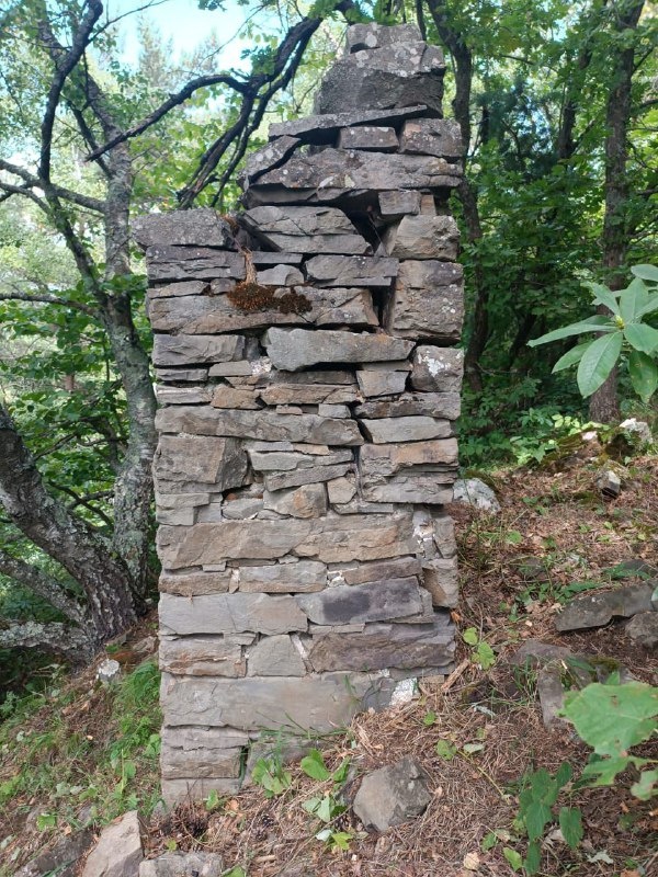 12 августа 2024 года в ходе проводимого обхода, сотрудники Джейрахско-Ассинского музея-заповедника в 1200 метров юго-восточнее башенного комплекса «Нижний Пуй», обнаружили ранее не учтенный объект – столпообразное святилище – цIув.

Столпообразные святилища – один из видов культовых сооружений из камня, которые воздвигались, согласно ингушскому фольклору, в месте, где молнией убило человека.

Заместитель директора компании «Наследие» Я. Гогиев отмечает, что данное столпообразное святилище отличается от группы подобных святилищ своими размерами – оно больше в размерах и стрельчатая ниша довольно глубокая и широкая. В прошлом это святилище венчала двухскатная пирамидально- ступенчатая крыша из сланцевых плит. На данный момент она полностью разрушена. В плане основание святилища прямоугольное.

Столпообразные святилища – наиболее многочисленная группа культовых памятников горной Ингушетии. В своем труде «Средневековые культовые памятники Центрального Кавказа» (Грозный, 1989, С. 89) Б. Мужухоев  пишет, что данная группа памятников относится к самому позднему времени строительства доисламских культовых памятников. Он считает их фамильными, объясняя причину того, что рядом у некоторых селений  стоят несколько столпообразных святилищ (в Эрзи – два, в Эгикале – три).

Памятник после проведения соответствующих работ, для обеспечения его целостности и сохранности, будет внесен в перечень выявленных объектов культурного наследия республики.