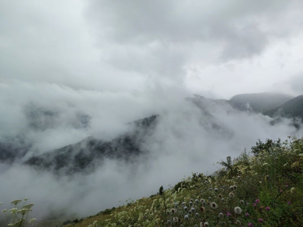 Уже более чем на 15 объектах культурного наследия башенного комплекса "Тумги" в горной Ингушетии кипит работа реставраторов по проекту "АСМ Групп". Полубоевые и жилые башни, а также склепы, одеты в строительные леса, полным ходом идет реставрация каменных стен, восстанавливаются деревянные перекрытия и сланцевые крыши.

Именно на "Тумги" недавно в ходе исследований был найден клад медных и серебряных монет времен эпохи Золотой орды, который сейчас храниться в Назрановском музее.

Партнеры проекта - Благотворительные фонды "САФМАР" и "Возрождение".