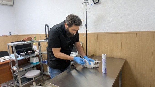 На базе ГБУ «Республиканская ветеринарная станция по борьбе с болезнями животных» в г. Назрани начала работу новая ветеринарная клиника.

Оснащение: современное оборудование, четыре кабинета, два стационара (обычный и инфекционный), операционный блок, УЗИ-аппарат.

Услуги: диагностика, терапия, вакцинация, хирургия, груминг, ультразвуковая чистка зубов для домашних животных и мелкого рогатого скота.

Безопасность: во всех помещениях установлены бактерицидные лампы, проводится ежедневная стерилизация.