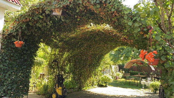 В Назрановском районе Ингушетии проверяют участников конкурсов "Лучшее ЛПХ" и "Фестиваль цветов"

Администрация Назрановского района Ингушетии проводит выездные проверки участников ежегодных конкурсов "Лучшее личное подсобное хозяйство" и "Фестиваль цветов". 

Цель проверок — оценить, как участники соблюдают условия конкурсов, и оказать им консультативную поддержку.

Что проверяют?

ЛПХ: состояние хозяйства, наличие скота и птицы, разнообразие садовых и огородных культур, благоустройство территории.

Фестиваль цветов: разнообразие и оригинальность цветочных композиций, использование элементов ландшафтного дизайна.